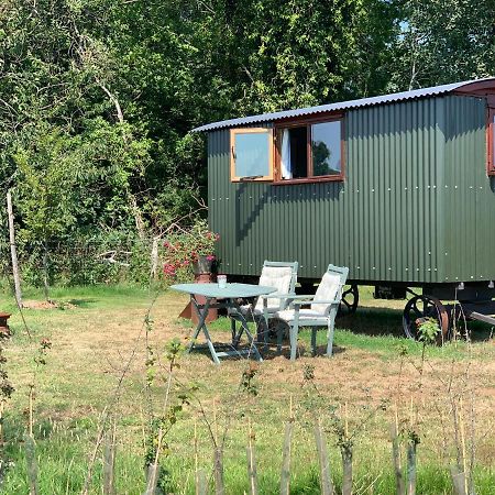 エムズワース Sindles Farm Bed & Breakfast エクステリア 写真